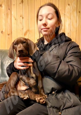 Новые владельцы